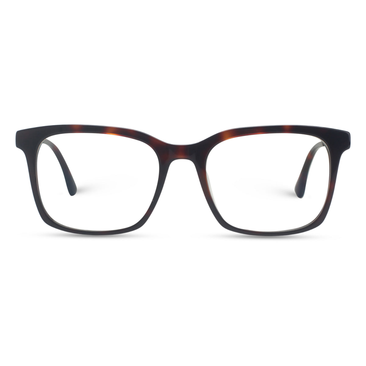 Classic square tortoise eyeglasses