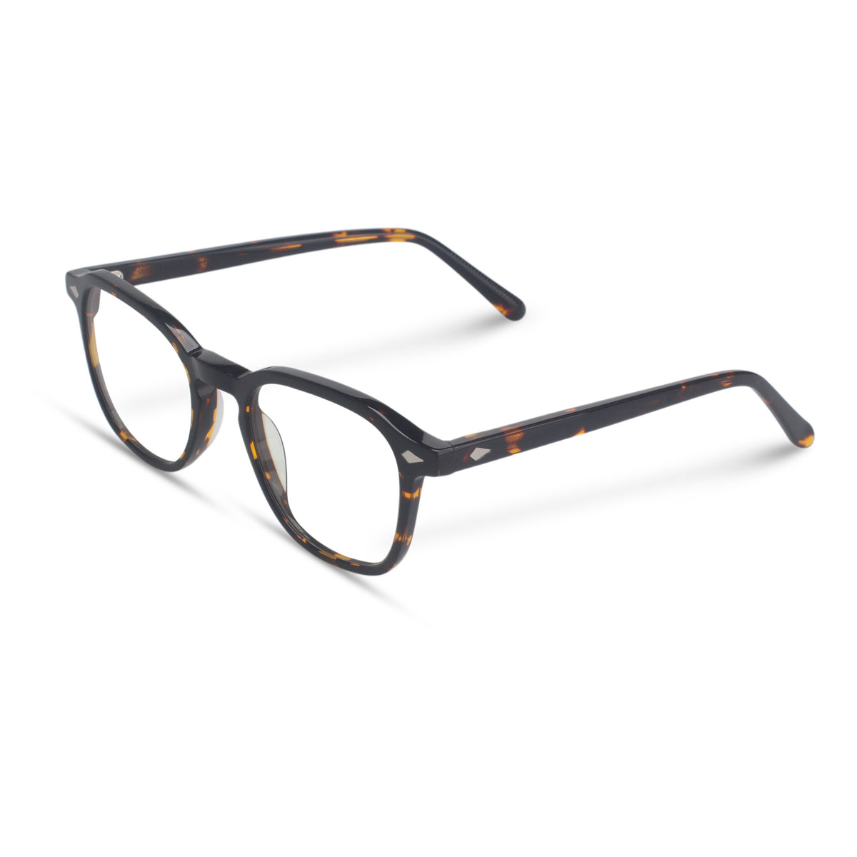 Tortoise plastic eyeglasses
