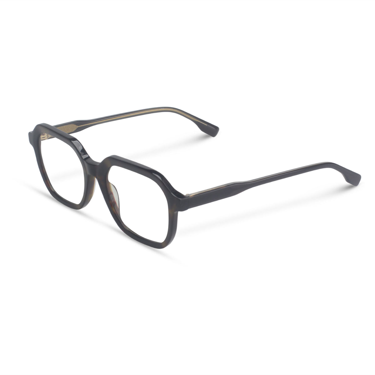 Havana tortoiseshell plastic eyeglasses 